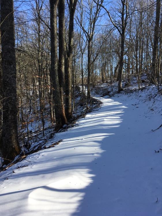 There were no footprints in the snow as we start.