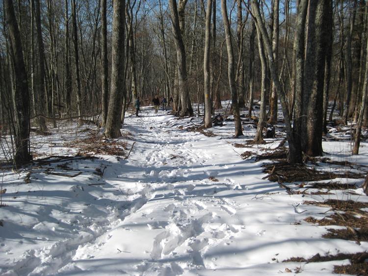 Lots of footprints after we pass by!