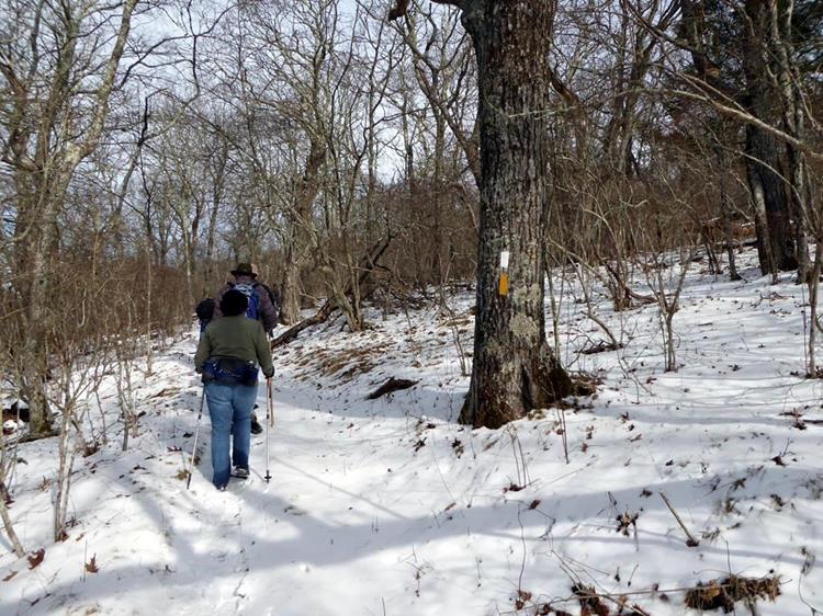 From this point you will see White markers (A.T.) and Yellow markers (Bartram) on the shared path.