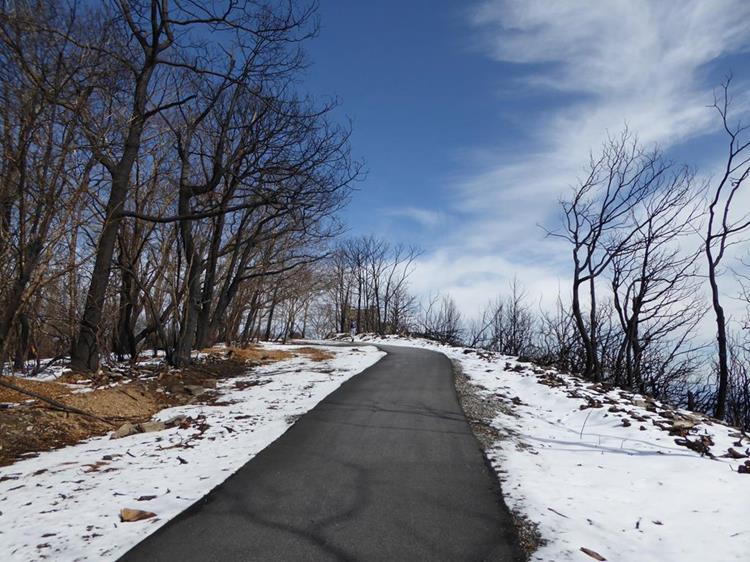 The right side of the approach trail is much worse than the left!