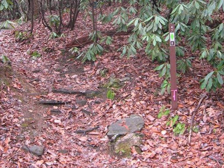 Look for the Courthouse Gap Trail around a quarter mile up the road on the left.