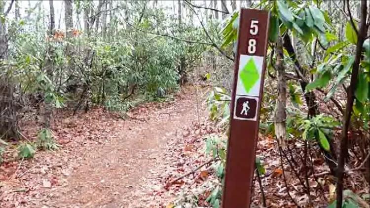After turning right on the Bartram Trail in about .25 mi you come to the Pinnacle Knob Trailhead (marked 58).