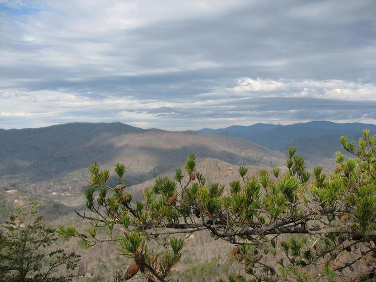 At the summit, you get magnificent mountain views!.
