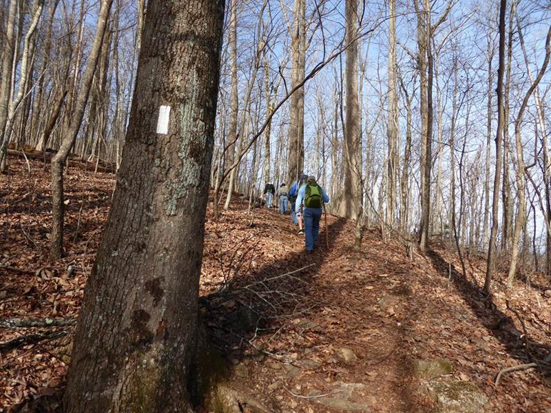 Immediately we start the long climb up Sassafras Mountain.