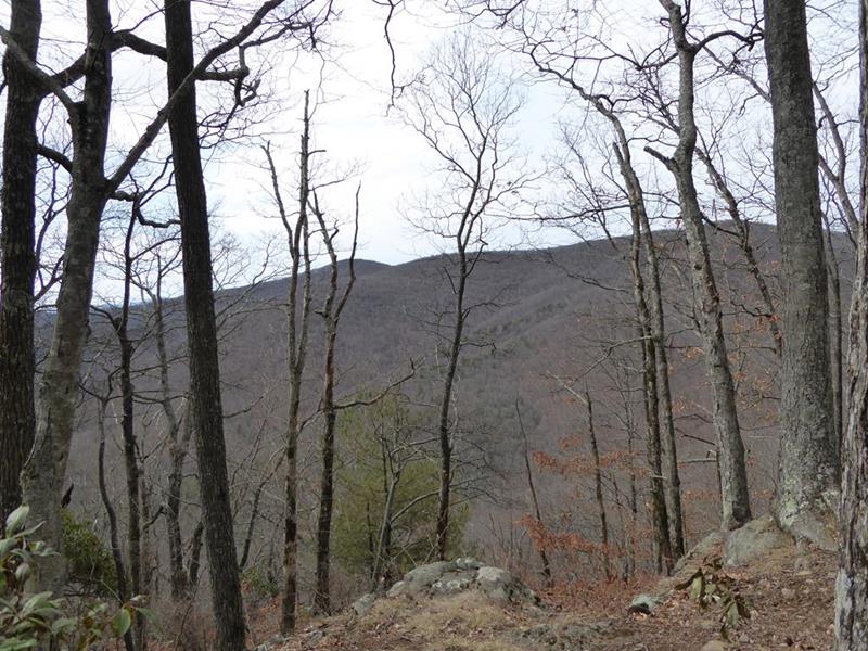 There are great mountain views along the way!
