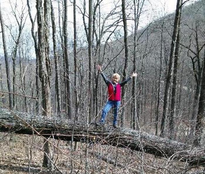 We passed quite a few large trees down but they had all been cleared from the path.
