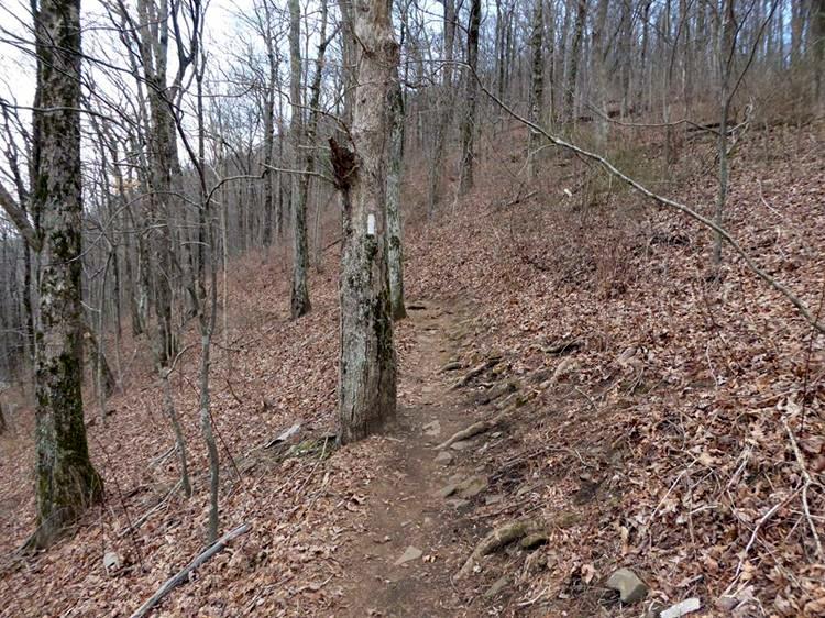 The world famous Appalachian Trail!
