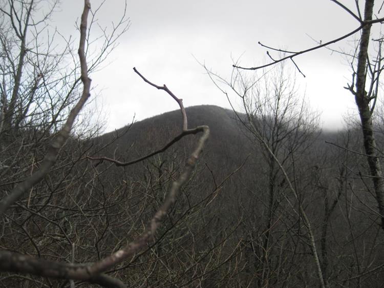 Here, we can see the summit of Tray Mt. about 1.5 miles away.