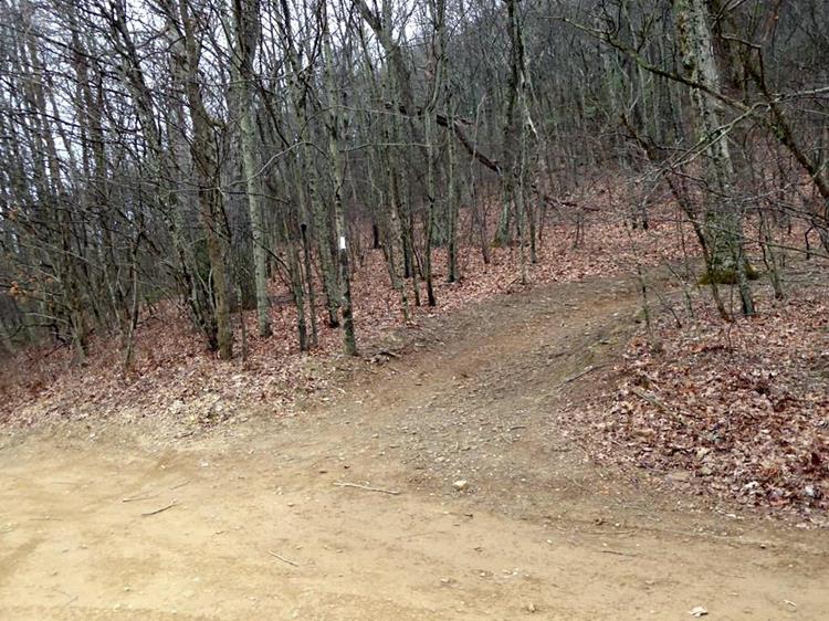 From here at the gap, it is almost one mile up to the summit.