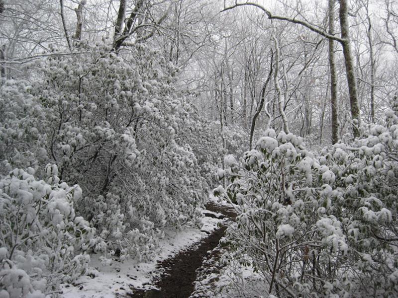 Snow!