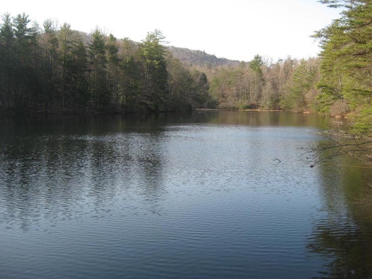 Beautiful Dockery Lake