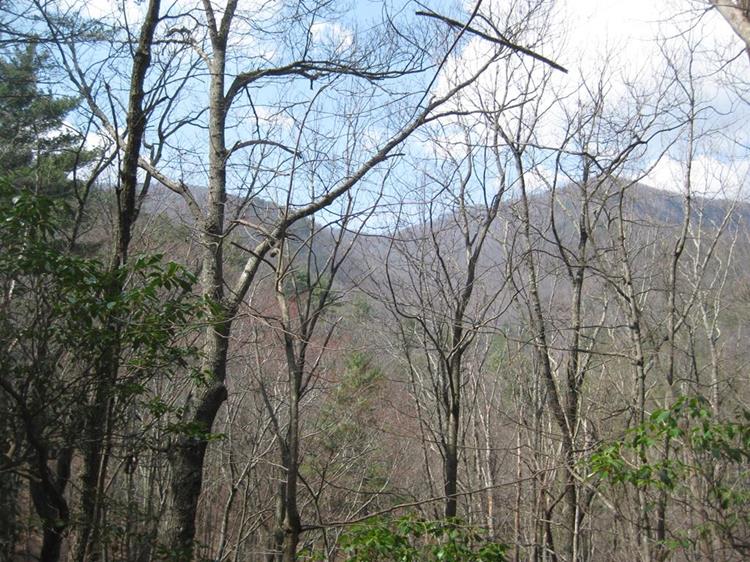 Looking up toward Miller Gap and the Appalachian Trail.
