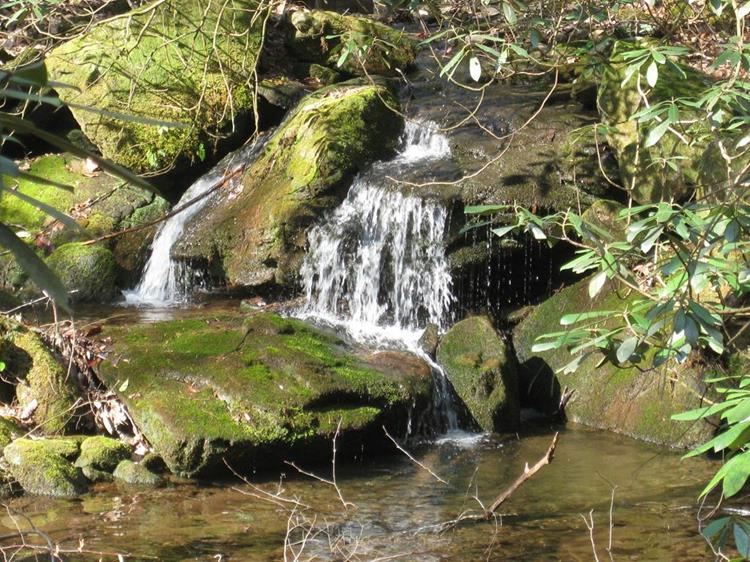 The simple beauty of a North GA Creek
