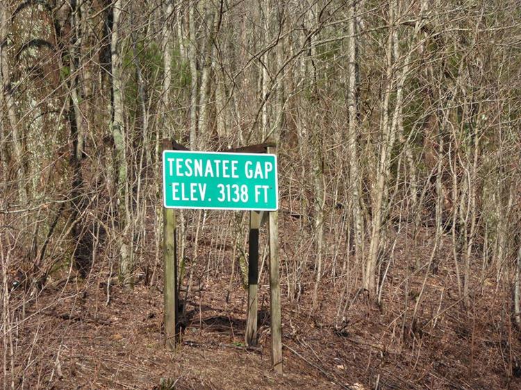 After hiking up and over Wildcat Mt., we come to Tessnatee Gap.
