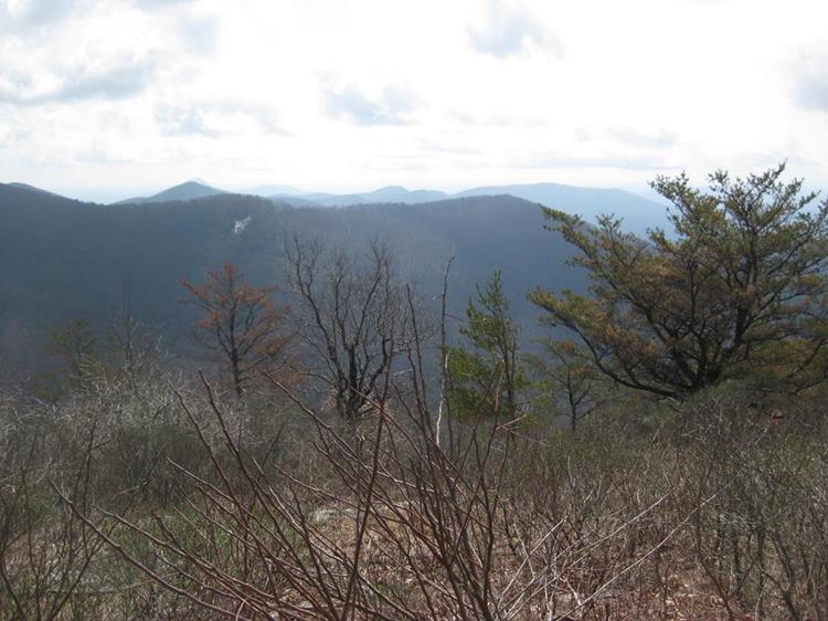 A view from Wolf Laurel Top