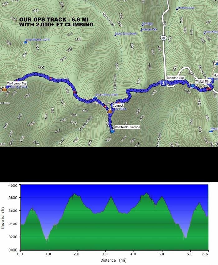 Our path today!