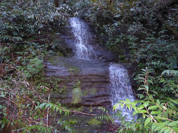 A nice waterfall early into the hike on the lower trail.
