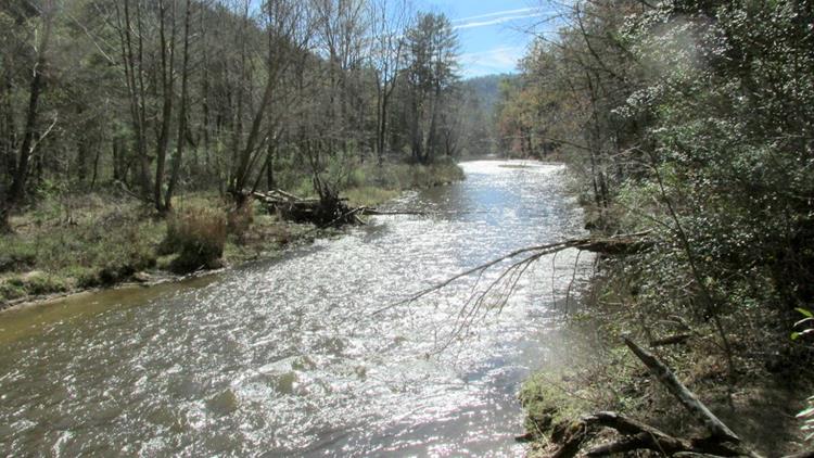 Beautiful views of the Chattooga all along the trail today!