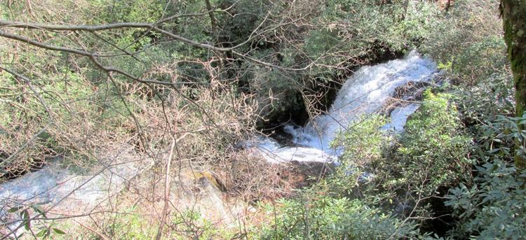 Loud roaring Licklog Falls!