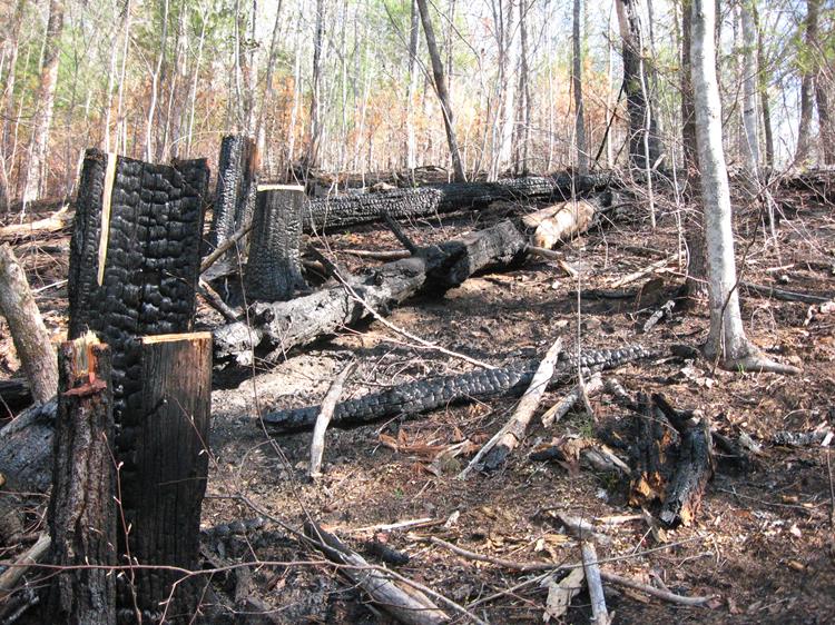Scorched earth along portions of the trail!