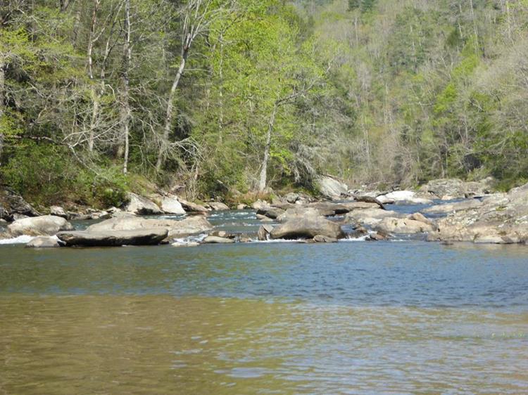 After a long downhill hike, we arrive at the Chattooga River.