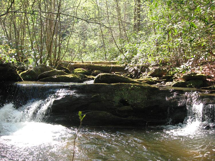 We turn left and head up beautiful Opossum Creek!
