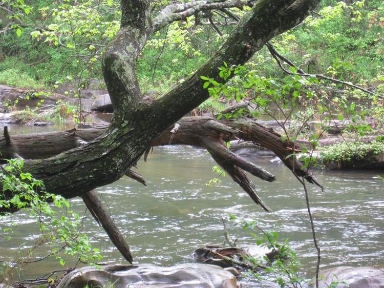 The beautiful Tallulah River!