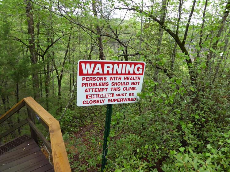 Next, a group of us walked down the staircase to the gorge suspension bridge.