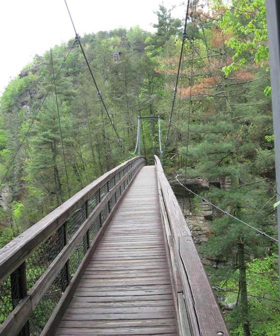 The Tallulah Gorge suspension bridge!