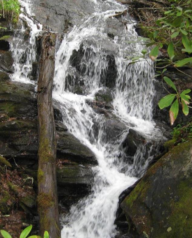 Pretty little waterfall early into the hike!