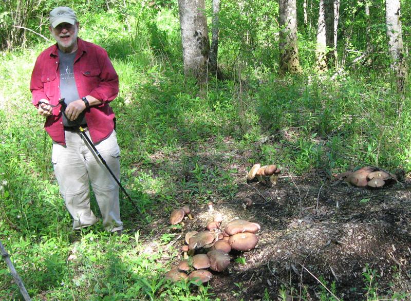 We spotted this enormous mushrooms early into the hike.