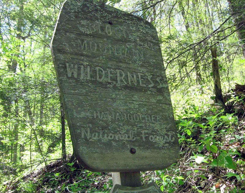 Entering the Blood Mountain Wilderness Area