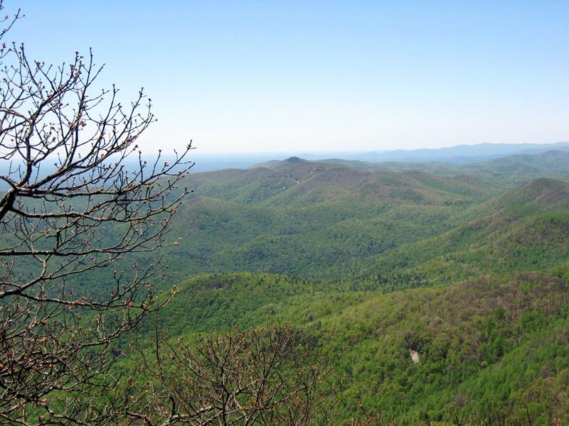 Great views from the highest peak on the Appalachian Trail in Georgia! 4,458 feet