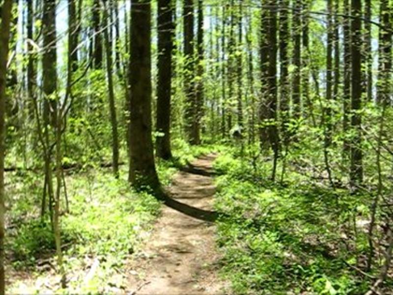 Heading down the Appalachian Trail to Jarrard Gap Trail and back to the lake.
