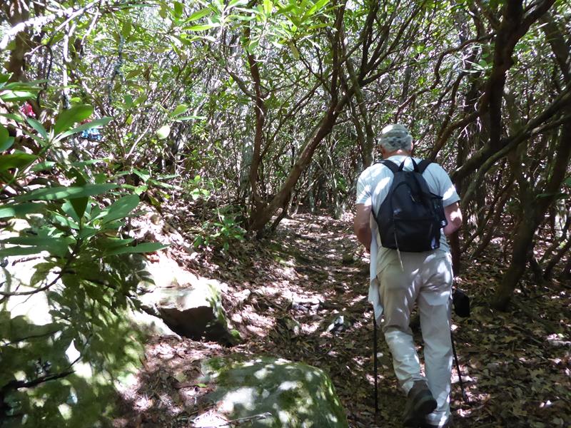 The trail is uphill most of the way to the summit..