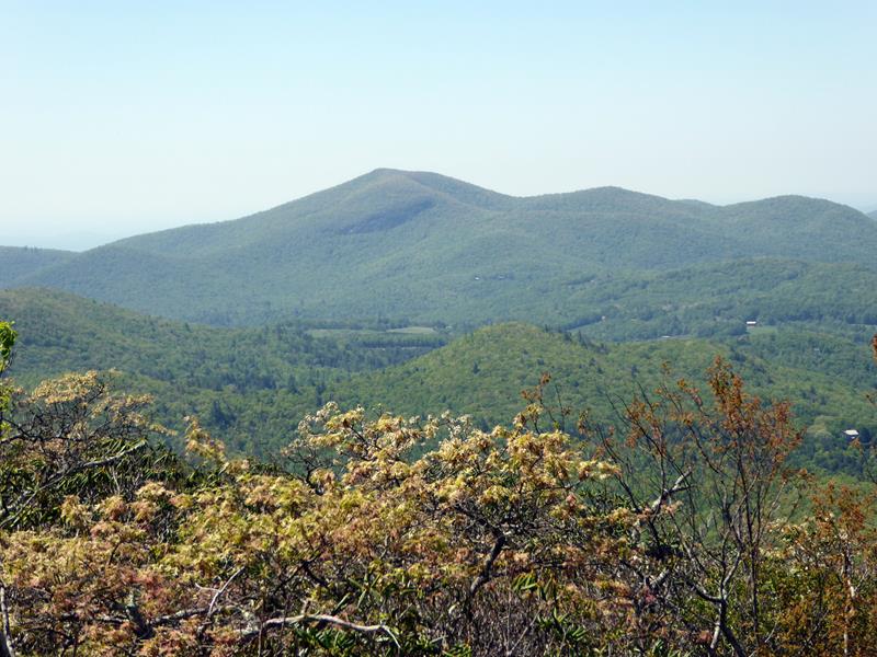 Looking south to Georgia's 2nd highest peak - Rabun Bald.