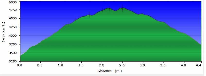 Elevation profile