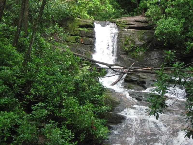 There are nice waterfalls and cascades all along the creek.