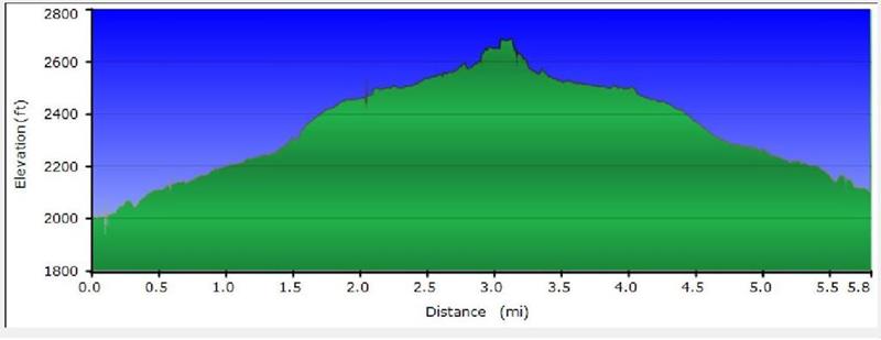 Elevation profile