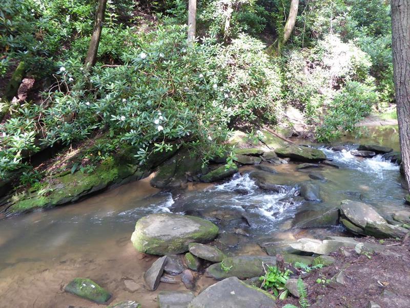 Panther Creek!