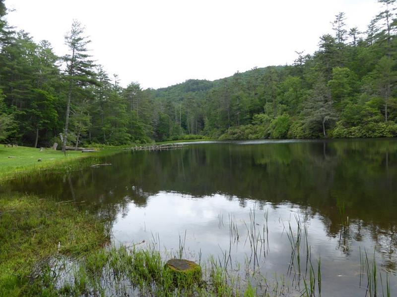 Beautiful reflections on Cliffside Lake!