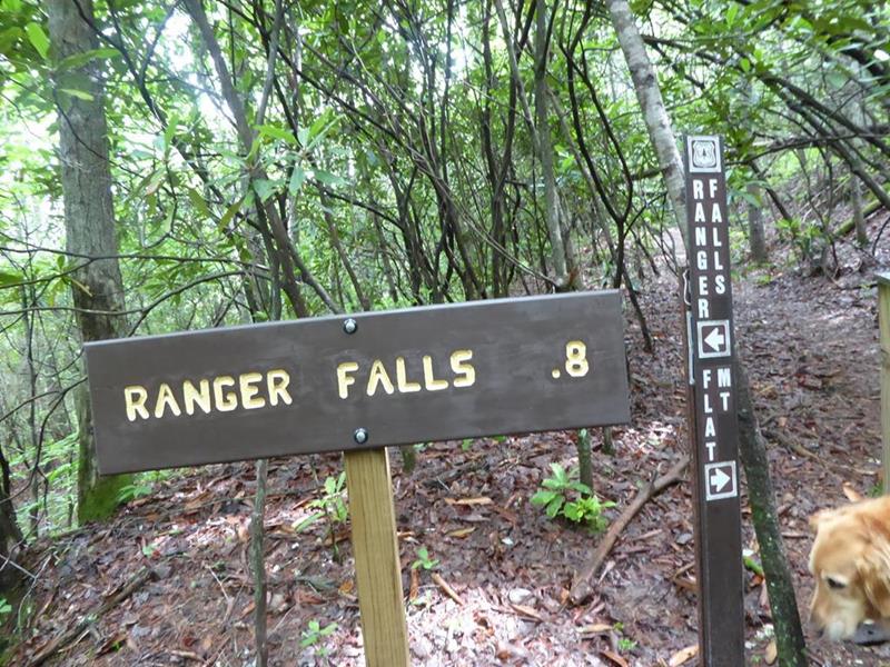 Here, the trail forks to the left toward Ranger Falls.