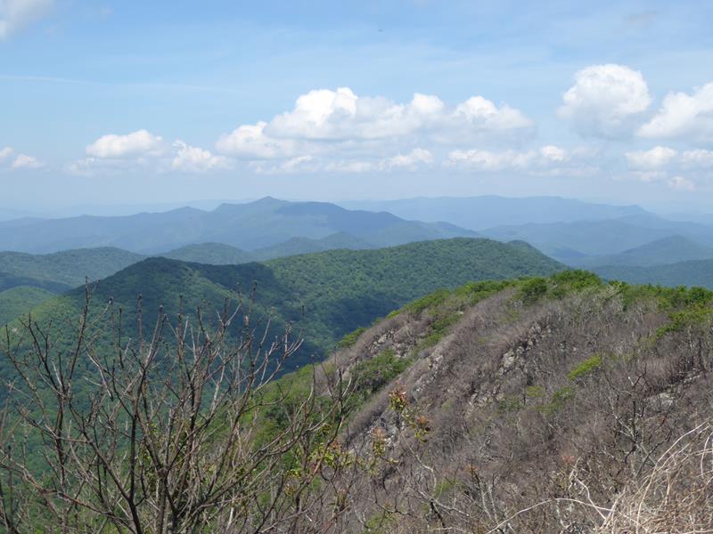 View one from the summit!