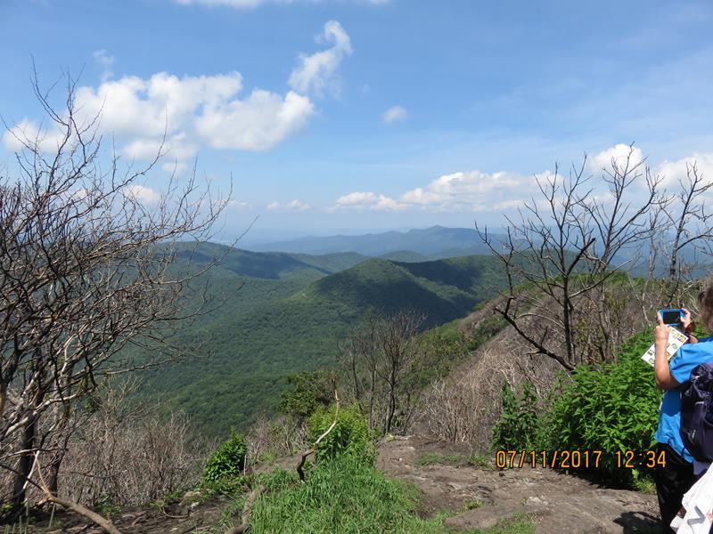 The views at the top have openend up due to the fire damage.