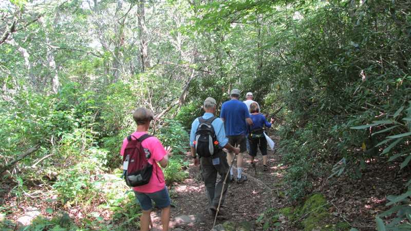 Our second trail of the day was to mile high Albert Mountain on the Appalachian Trail.