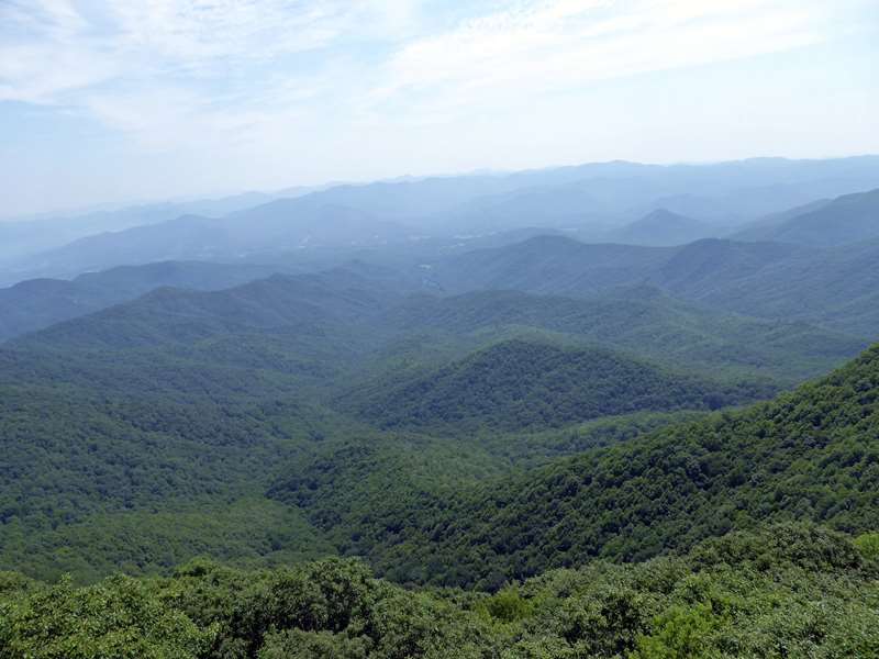 360 degree views from the tower!