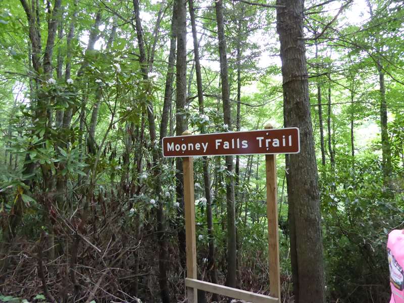 Our third trail today!
