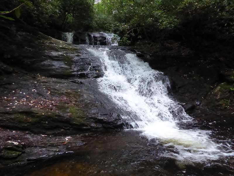 Beautiful Laurel Falls!