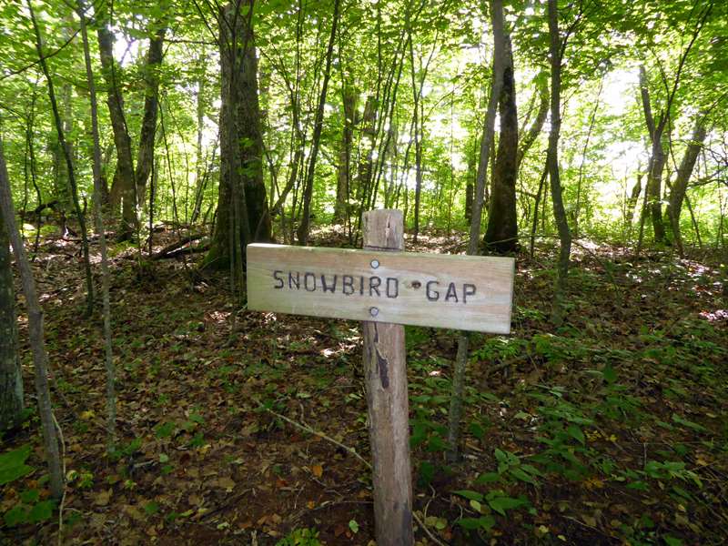 Snowbird Gap is at the base of the grassy slope to Siler Bald.