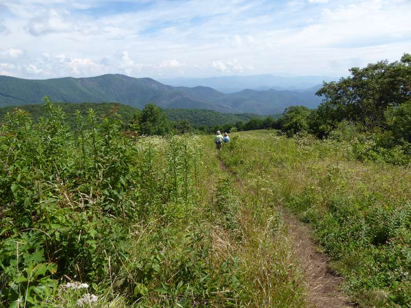 Headed back down the grassy slope.